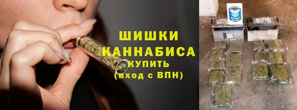 дживик Гусь-Хрустальный