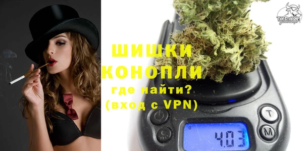 дживик Гусь-Хрустальный