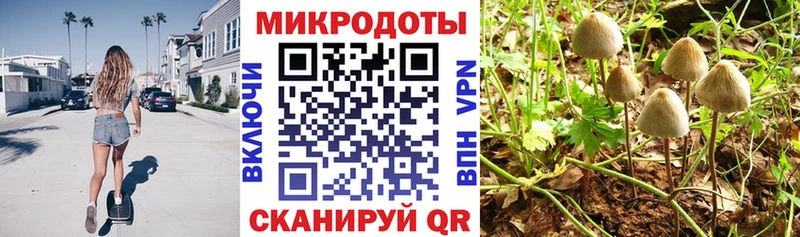 Купить где  Знаменск  Галлюциногенные грибы мицелий 
